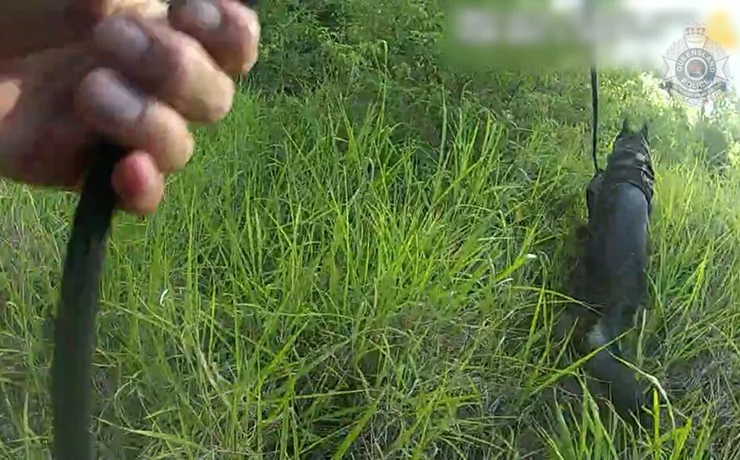 Two Arrested Near Blackbutt Two Arrested Near Blackbutt