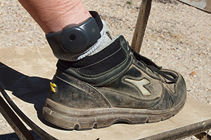 Age Limit Slashed For Ankle Monitors Age Limit Slashed For Ankle Monitors
