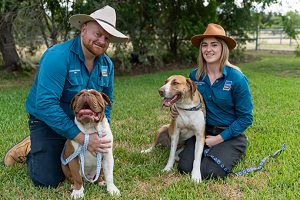 WDRC Begins Dog Inspections