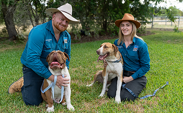 WDRC Begins Dog Inspections