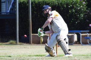 Services Shoot Down Wolves