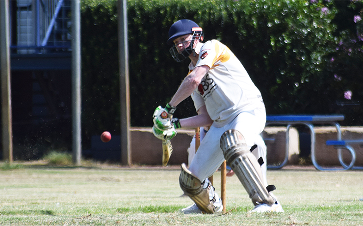 Services Shoot Down Wolves