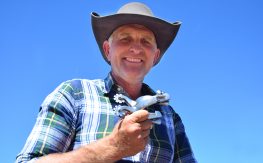 Another Big Show Year Begins