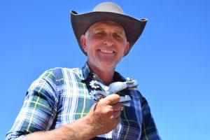 Another Big Show Year Begins