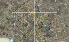 New Investor Backs Tarong West