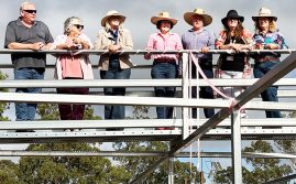 Major Upgrades At Saleyards