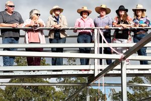 Major Upgrades At Saleyards