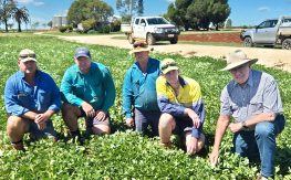 What Is The Future Of Farming?