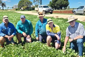 What Is The Future Of Farming?