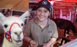 Great Show With A Serious Message