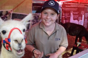 Fun Show With A Serious Message