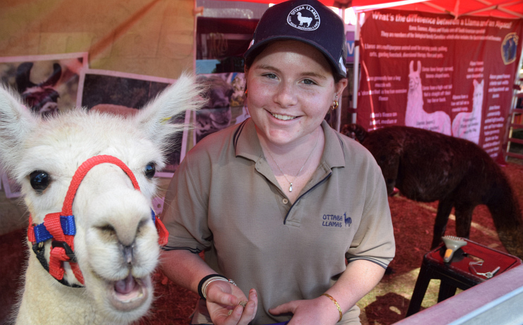 Fun Show With A Serious Message