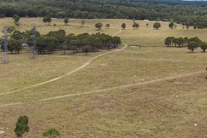 Tumuruu Unveils Benefit Fund Plan