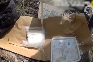 Police Target Chinchilla Drug Ring