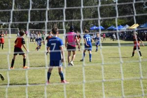 Mini Roos Another Major Event