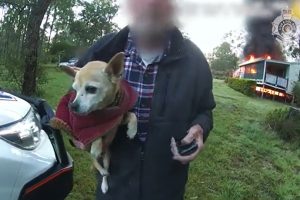 Police Rescue Pet From Blaze Police Rescue Pet From Blaze