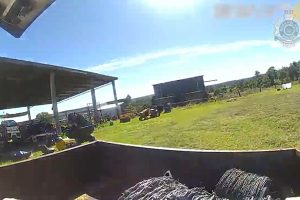 Woman Charged With Cattle Theft