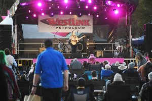 Grant To Create Memorial Park Stage
