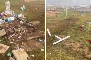 Car Thieves Trash Cemetery