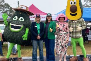 Avocados Love A Little Rain