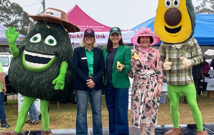 Avocados Love A Little Rain