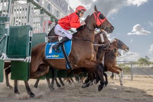 Nanango Races Spring Into Action