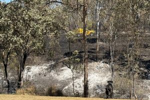 Fire Crews Battle More Blazes