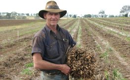 Growers Question GRDC’s Priorities